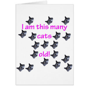 18 Katzen-Köpfe alt