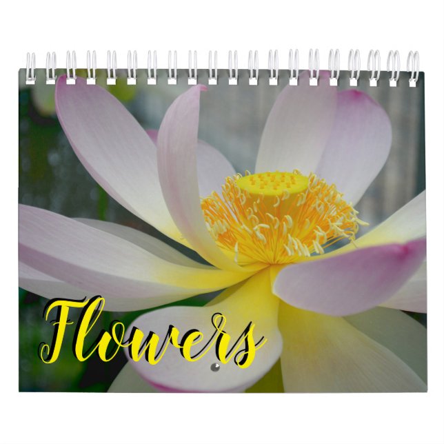 18 Monat Blumen-Kalender Kalender (Titelbild)