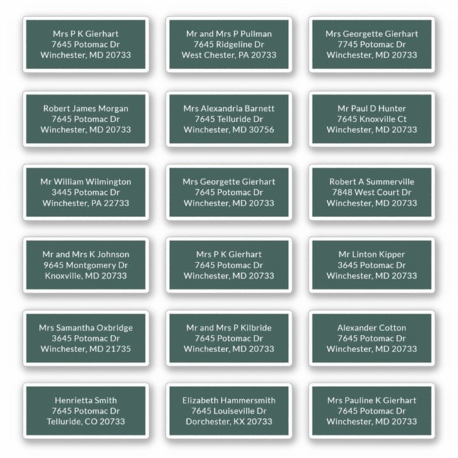 18 Name des Empfängers E-Mail-Adressen-Labels für  Aufkleber (Vorderseite)