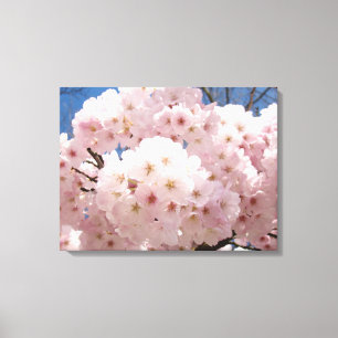 18x24 Baumblüten Blume Leinwand