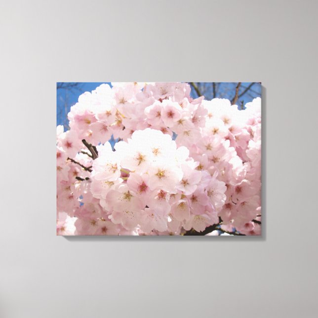 18x24 Baumblüten Blume Leinwand (Vorderseite)