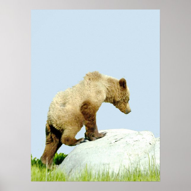 18x24 Plakatpapier (Matte) aus Grizzlybär Poster (Vorne)