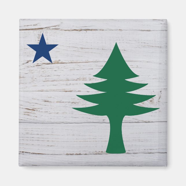 1901 Maine Flag Magnet (Vorne)