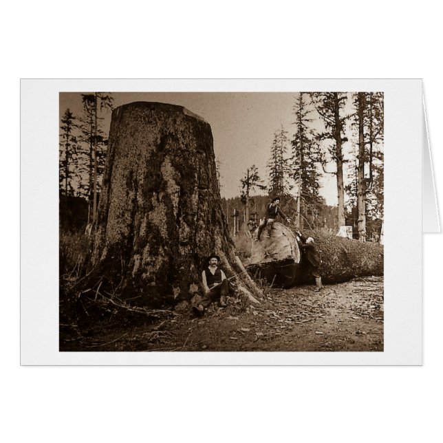 1903 Vintages Holzfäller-magische Laternen-Dia (Vorderseite (Horizontal))