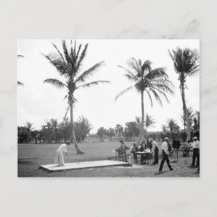 1904 Golfing Palm Beach Fl. Postcard Postkarte