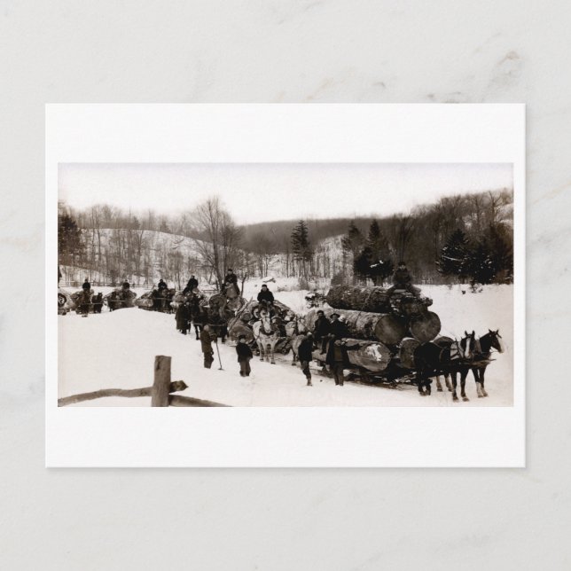 1905 Arbeitslose Postkarte (Vorderseite)