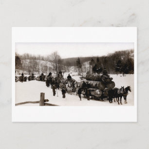 1905 Holzfäller bei der Arbeit Postkarte