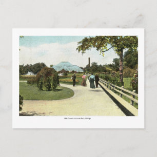 1906 Blumen im Lincoln Park, Chicago Vintage Postkarte
