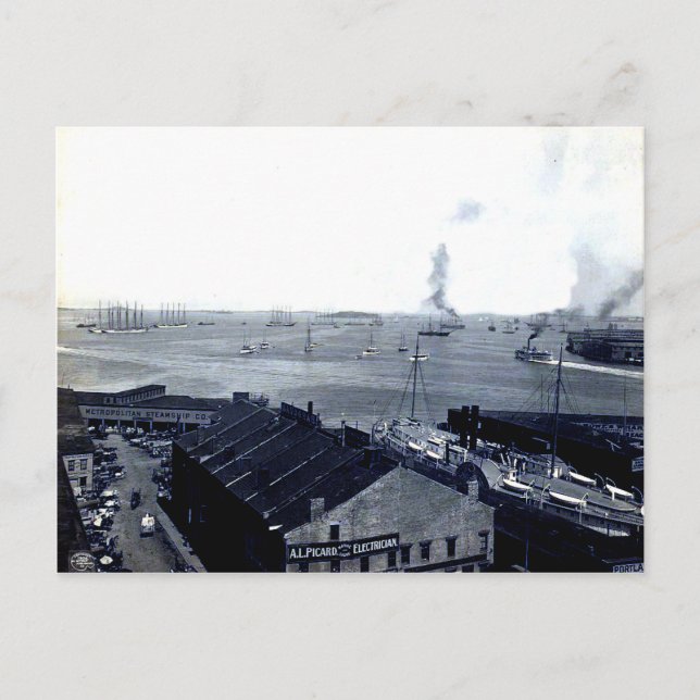 1906 Boston Harbor Postcard Postkarte (Vorderseite)