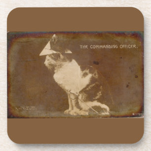1906 Der Kommandeur verkleidete Katze RPPC Getränkeuntersetzer