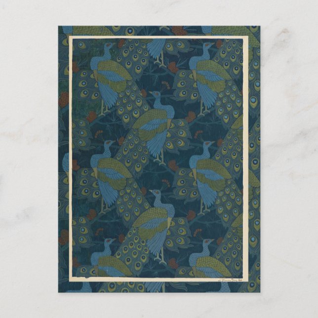 1906 Vintage europäische Pfauen-Tapete Postkarte (Vorderseite)