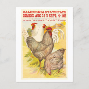 1909 California Staat Fair Poultry Poster Postkarte