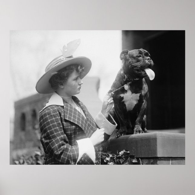 1915 Hundeschau Poster (Vorne)