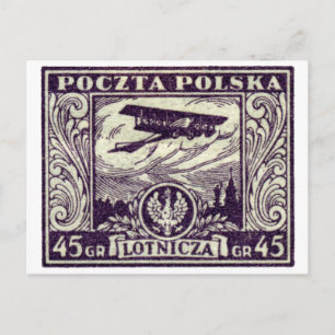 1925 45gr Polnische Luftpostmarke Postkarte
