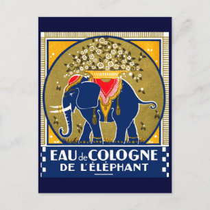 1925 Köln De L'Elephant Postkarte