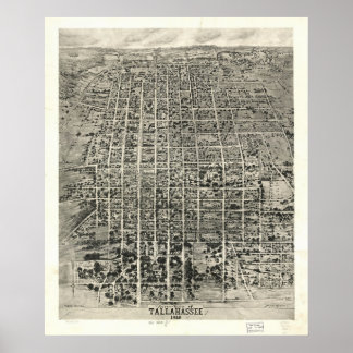 1926 Tallahassee, FL Birds Eye Panoramablick Karte Poster