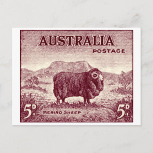 1934 Australisches Merinoschaf Postkarte