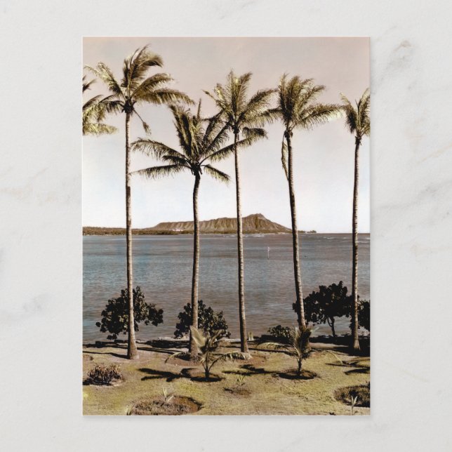 1940 Diamond Head Hawaii Postkarte (Vorderseite)