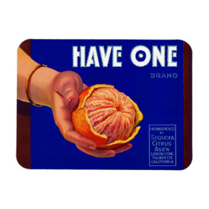 1940er haben ein orangefarbenes Katzenetikett Magnet