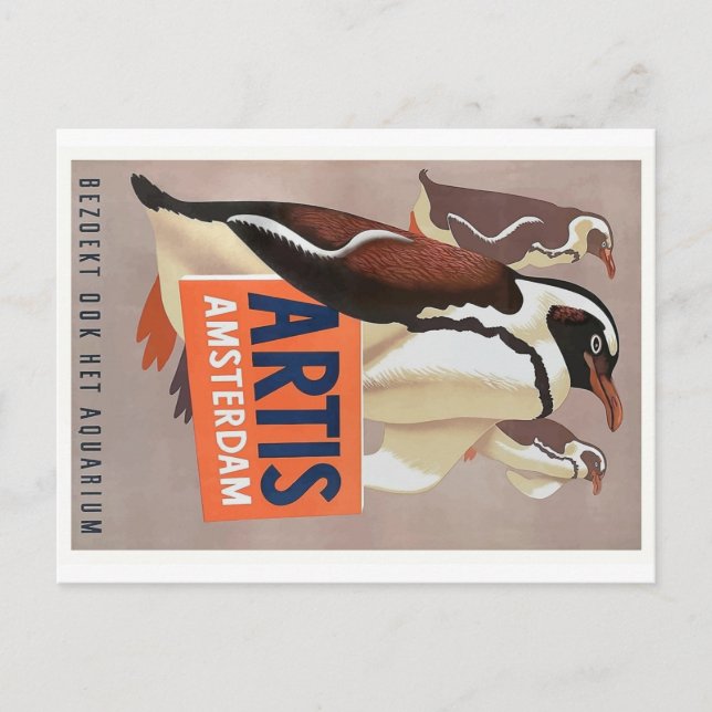 1947 Artis Zoo Amsterdam Penguins Poster Postkarte (Vorderseite)