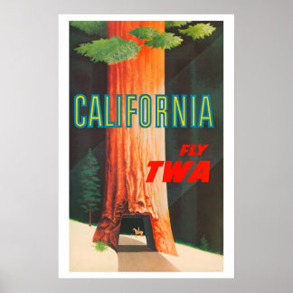 1950s TWA California Redwoods Drive Thru Tree Poster