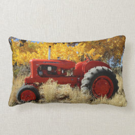 1955 WD45 Allis Chalmers Tracter Lumbar Pillow Lendenkissen