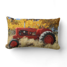 1955 WD45 Allis Chalmers Traktor Lendenkissen