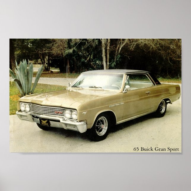 1965 Buick Skylark Gran Sport Poster (Vorne)