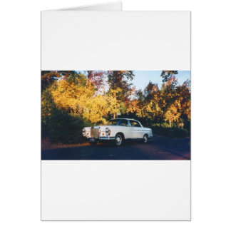 1965 Mercedes-Benz 220SEb Coupe