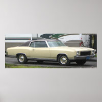 1971 Chevrolet/Chevrolet Monte Carlo