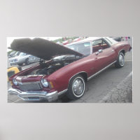 1974 Chevrolet/Chevrolet Monte Carlo