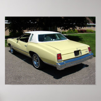 1977 Chevrolet/Chevrolet Monte Carlo Poster