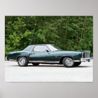 1977 Chevrolet/Chevrolet Monte Carlo