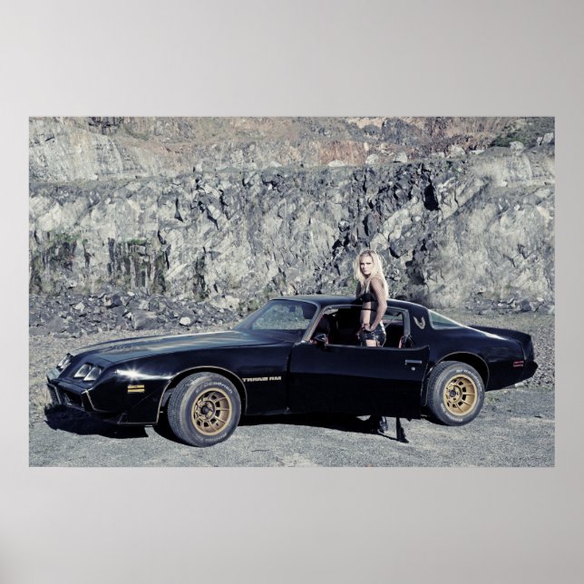 1979 Pontiac Trans Am 6,6 Liter V8 Poster (Vorne)