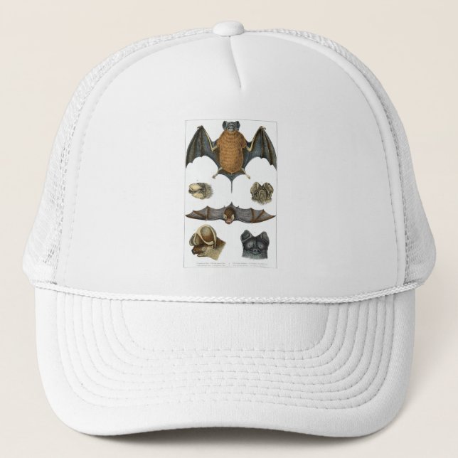 19. C. Bat Print Truckerkappe (Vorderseite)