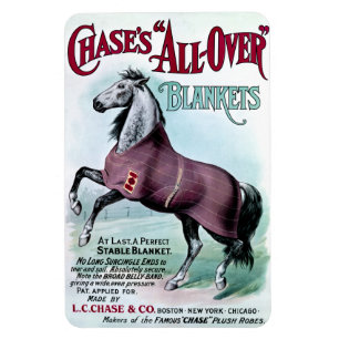 19. C. Chase Horse Blankets Magnet