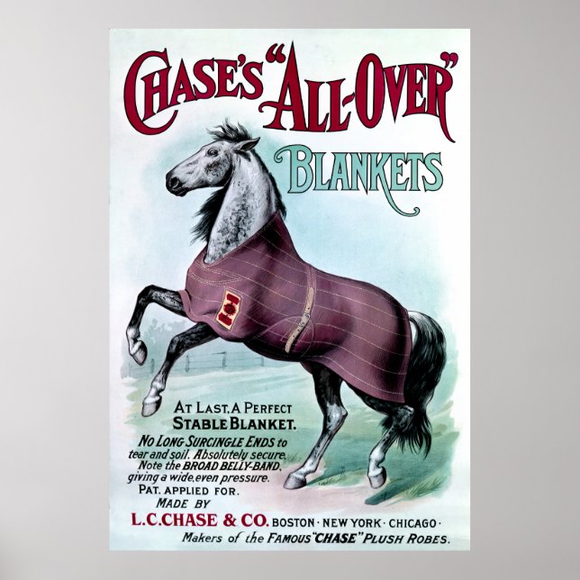 19. C. Chase Horse Blankets Poster (Vorne)