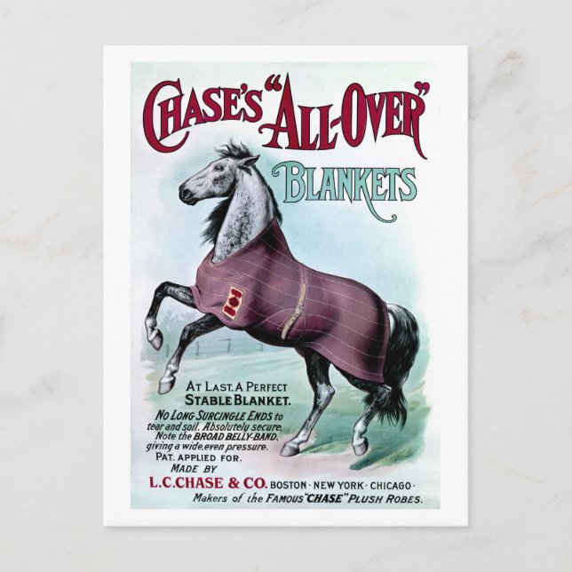 19. C. Chase Horse Blankets Postkarte (Vorderseite)