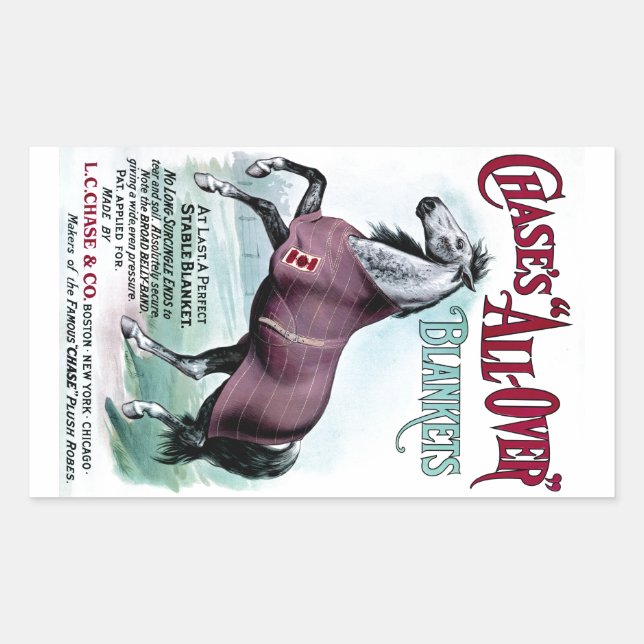 19. C. Chase Horse Blankets Rechteckiger Aufkleber (Vorderseite)