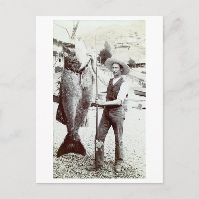 19. C. Fisherman and Goliath Grouper Postkarte (Vorderseite)