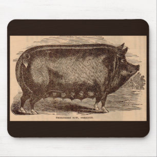 19. Jahrhundert Farm Animal Print Berkshire Sauen Mousepad