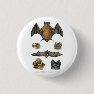 19. Jh. Fledermausdruck Button