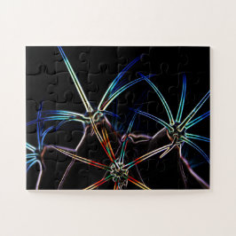 1 11x14 30pc jpcna puzzle