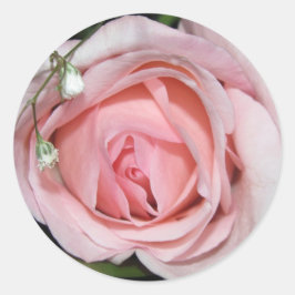 1 1/2" Round Stickers (20 zählen) - Pink Rose