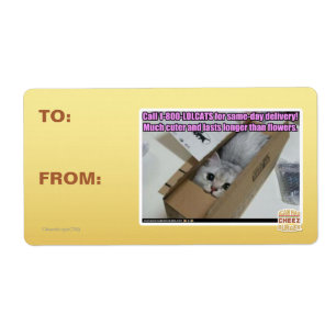1-800-LOLCATS anrufen