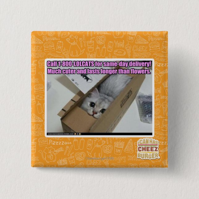 1-800-LOLCATS anrufen Button (Vorderseite)