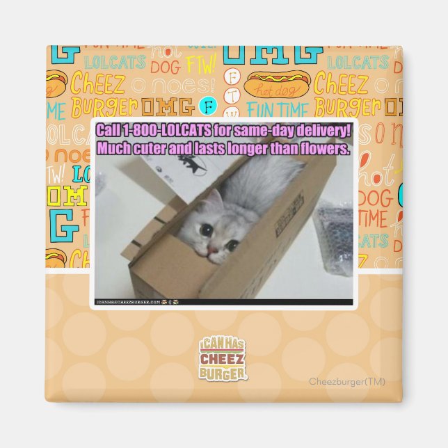 1-800-LOLCATS anrufen Magnet (Vorne)