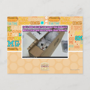1-800-LOLCATS anrufen Postkarte