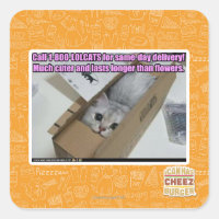 1-800-LOLCATS anrufen