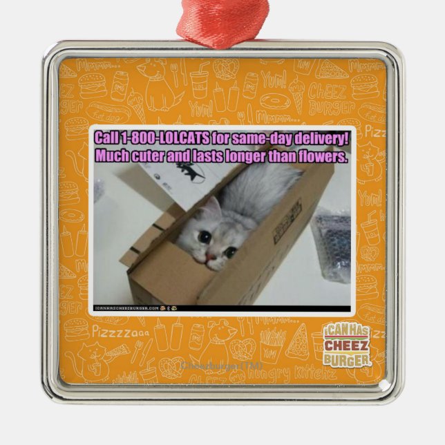 1-800-LOLCATS anrufen Silbernes Ornament (Vorne)
